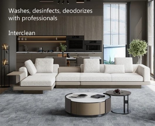 lava, desinfecta, deodoriza con los profesionales :: washes, desinfects, deodorizes with professionals lava, desinfecta, deodoriza con los profesionales :: washes, desinfects, deodorizes with professionals