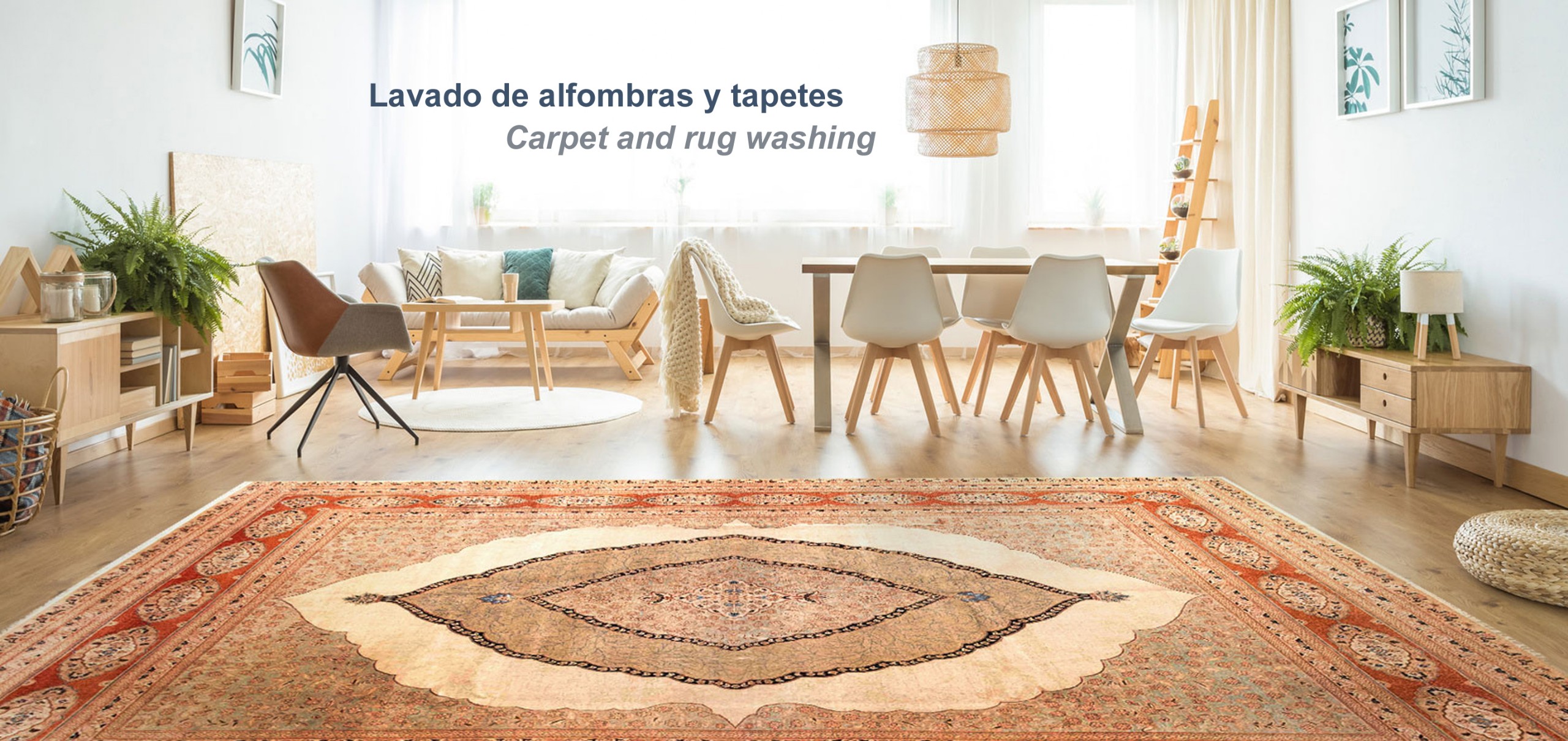 Guía práctica para el lavado de alfombras, tapizones y muebles